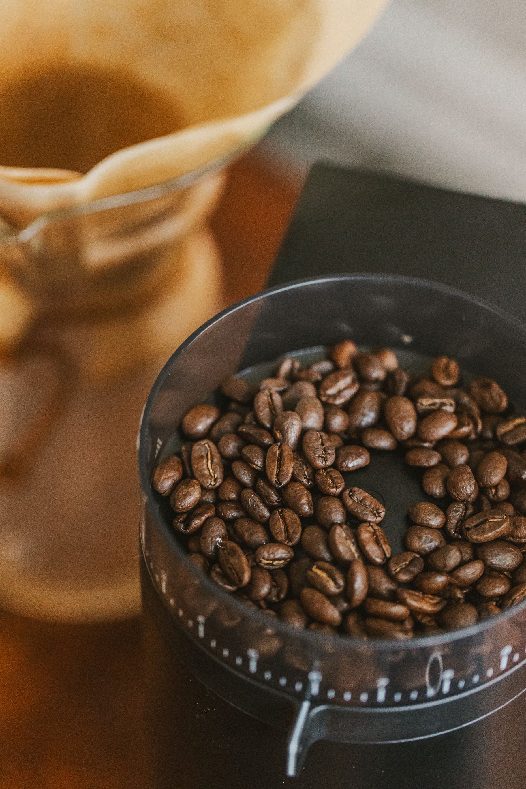 Chemex Natural Filters (8 Cup) - Image 3