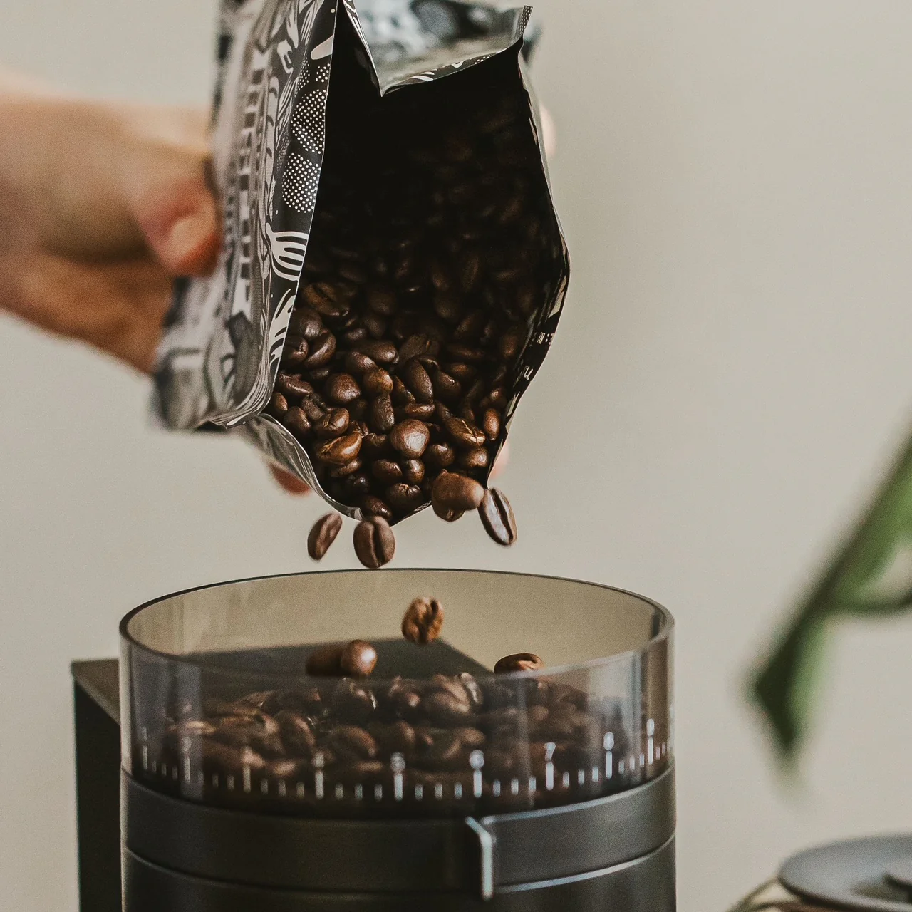 Opus Conical Burr Grinder by Fellow - Image 3