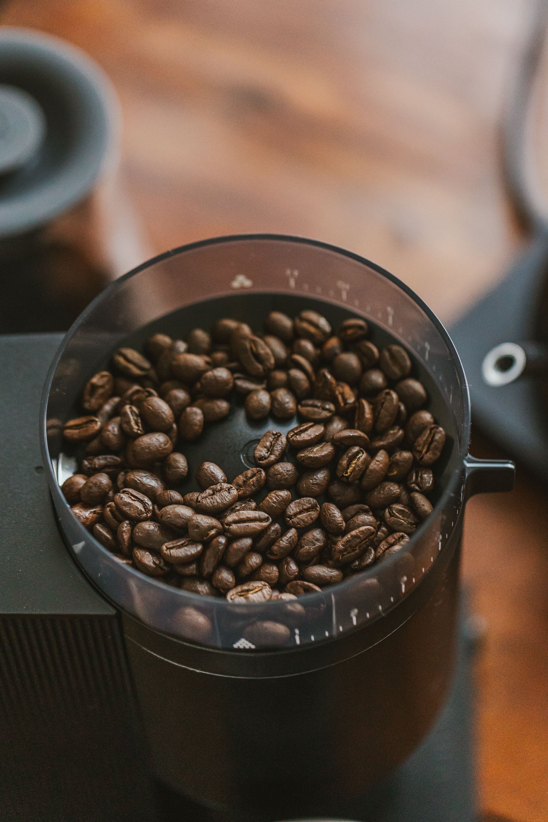 Opus Conical Burr Grinder by Fellow - Image 4